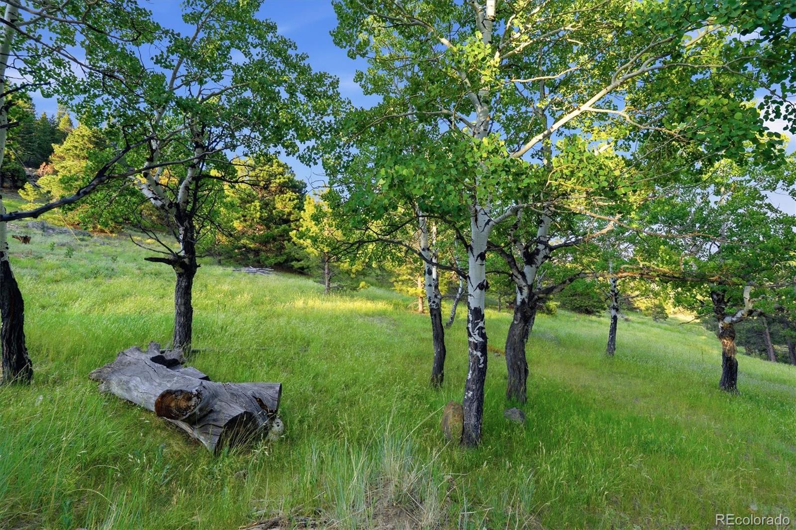 MLS Image #42 for 34317  state highway 103 ,evergreen, Colorado