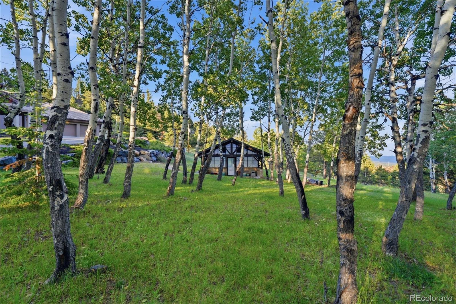 MLS Image #43 for 34317  state highway 103 ,evergreen, Colorado