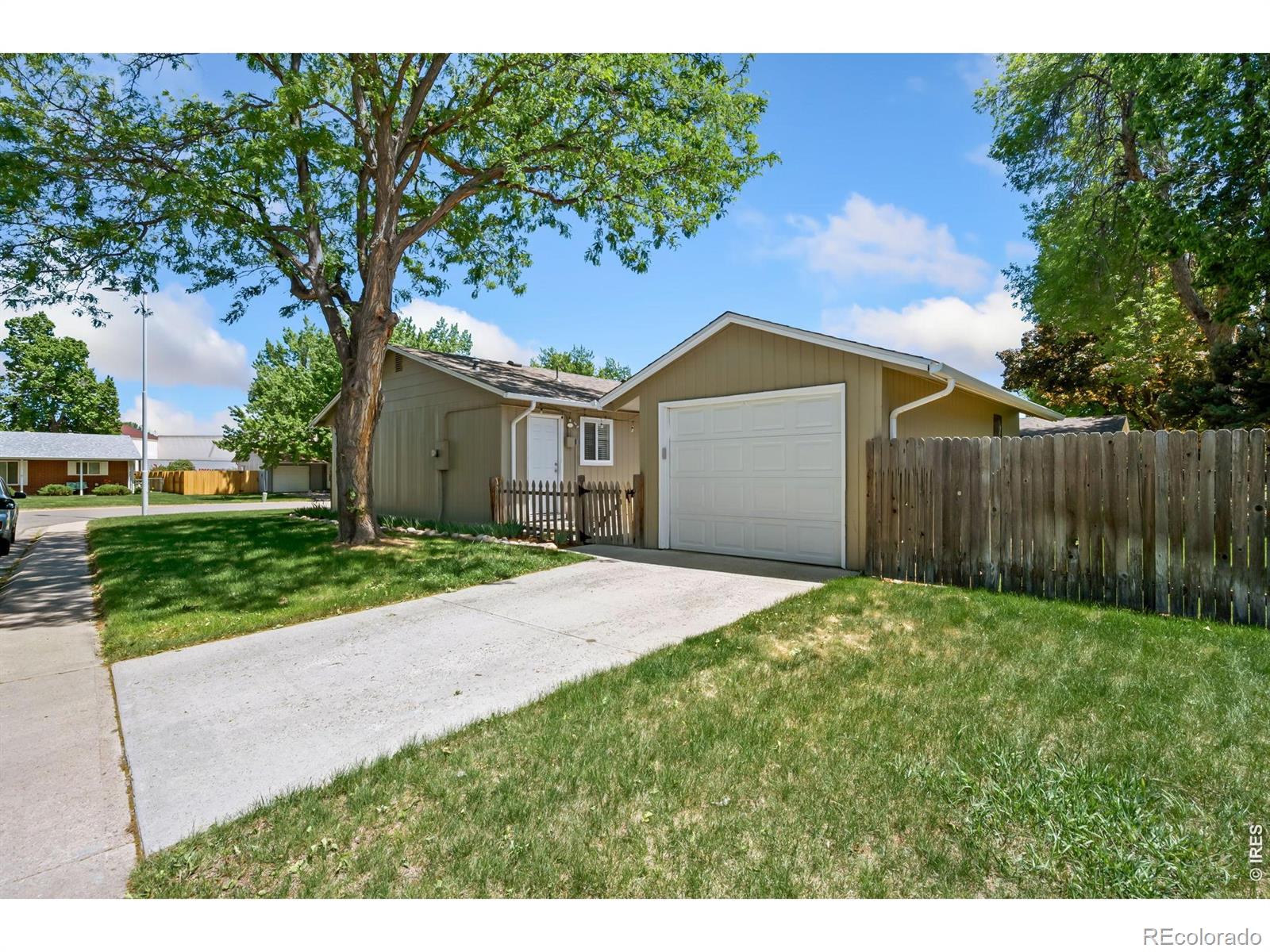 MLS Image #24 for 1025  montview road,fort collins, Colorado