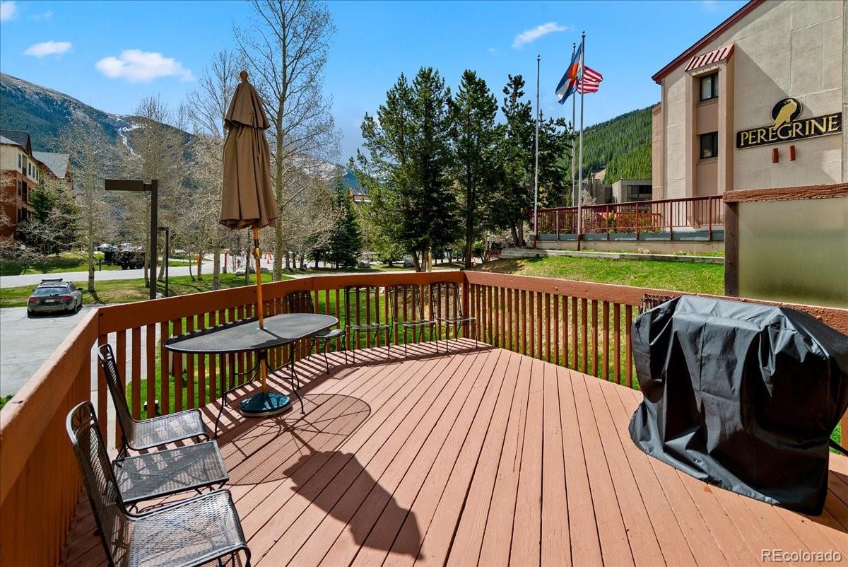 MLS Image #21 for 35  wheeler place,frisco, Colorado