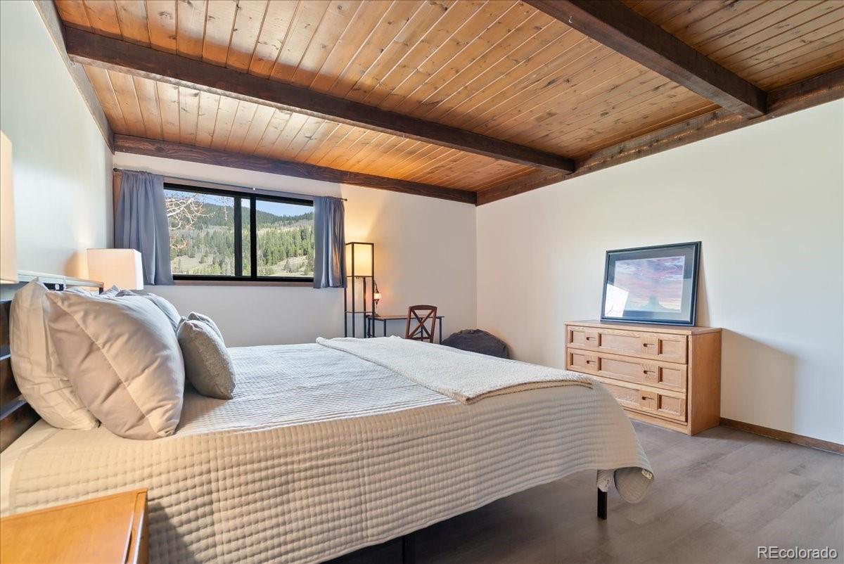 MLS Image #5 for 35  wheeler place,frisco, Colorado