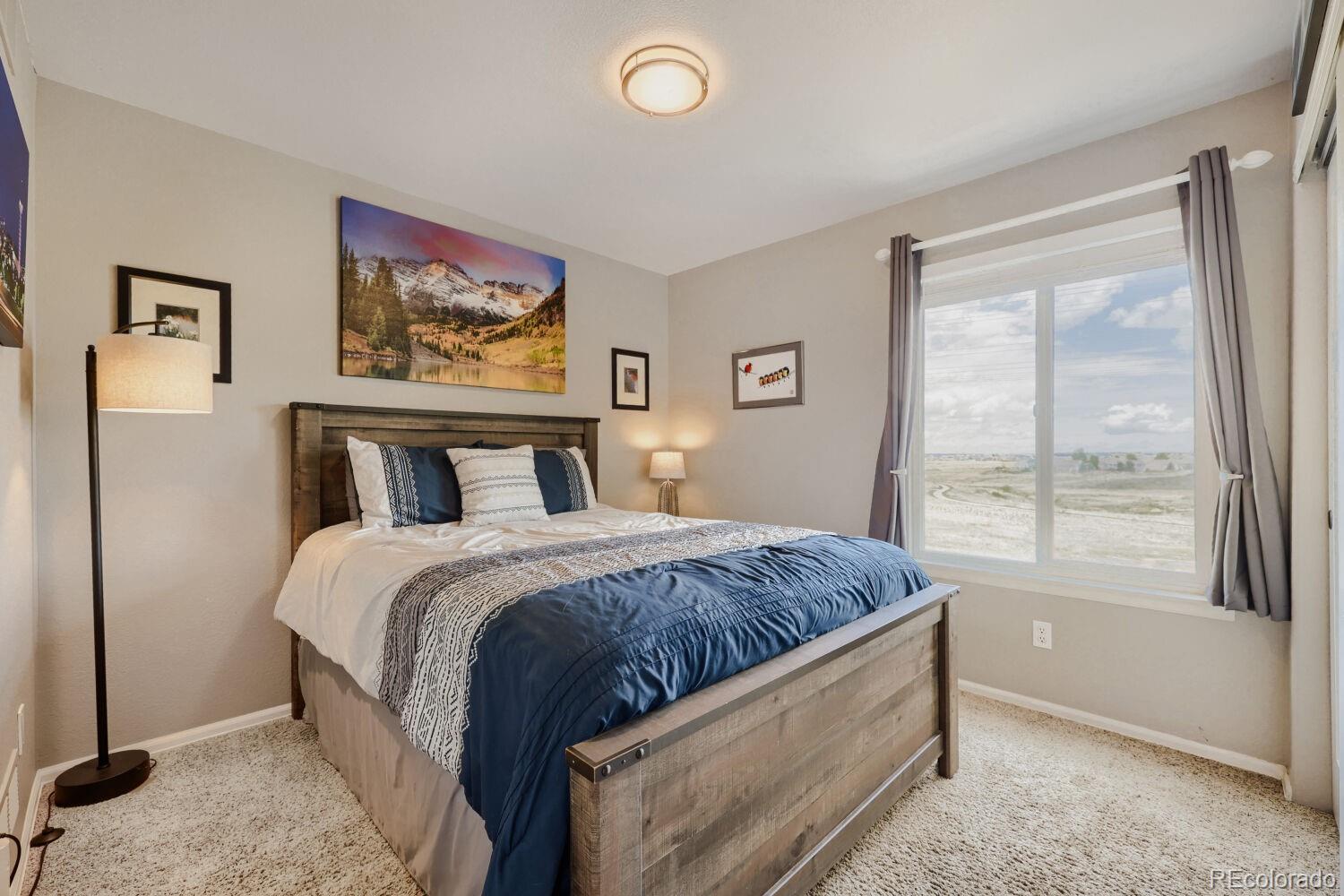 MLS Image #10 for 834 s carlton street,castle rock, Colorado
