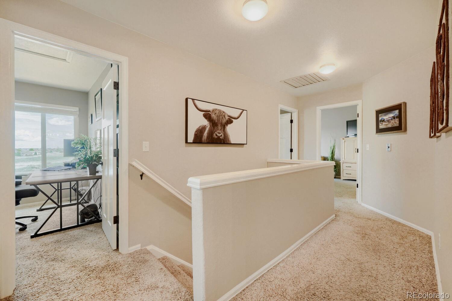 MLS Image #15 for 834 s carlton street,castle rock, Colorado