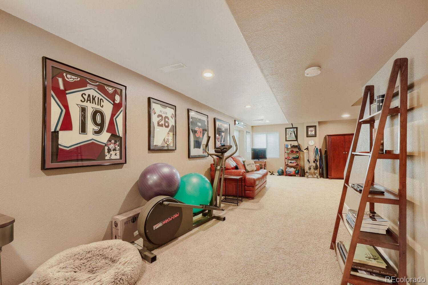 MLS Image #18 for 834 s carlton street,castle rock, Colorado