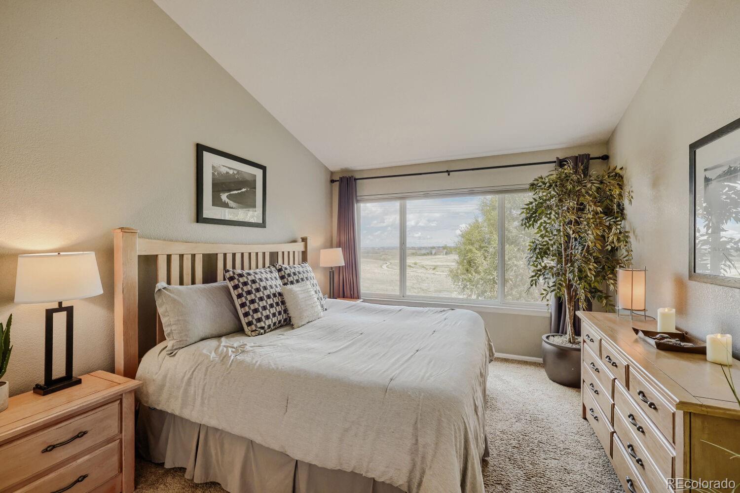 MLS Image #5 for 834 s carlton street,castle rock, Colorado