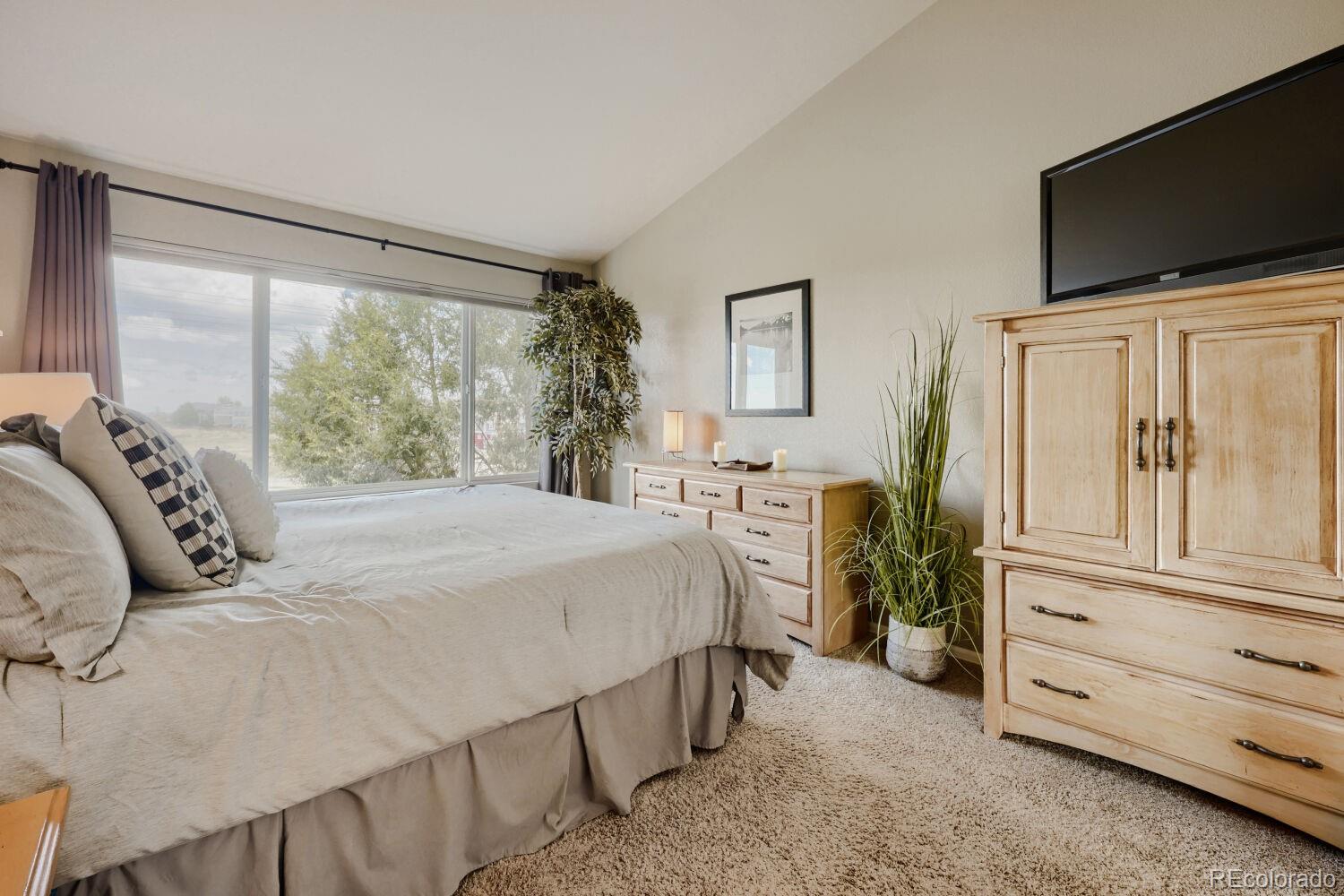 MLS Image #6 for 834 s carlton street,castle rock, Colorado