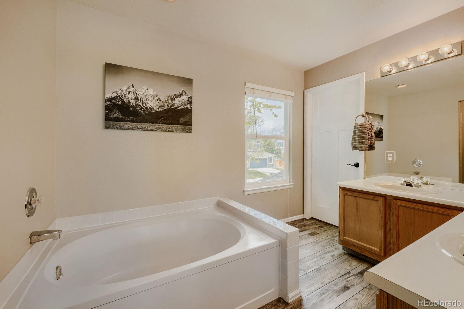 MLS Image #7 for 834 s carlton street,castle rock, Colorado