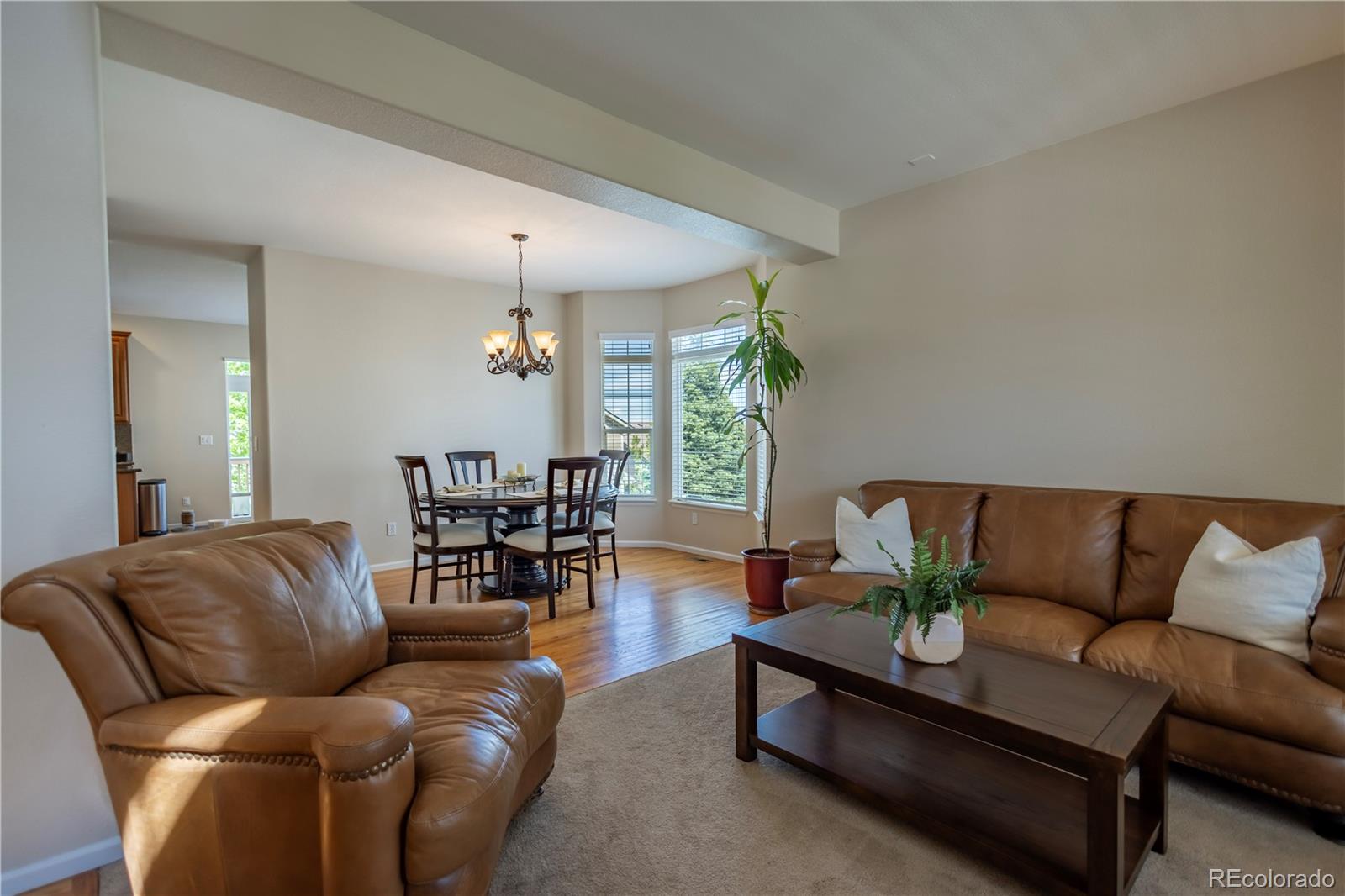 MLS Image #5 for 11861 s breeze grass way,parker, Colorado