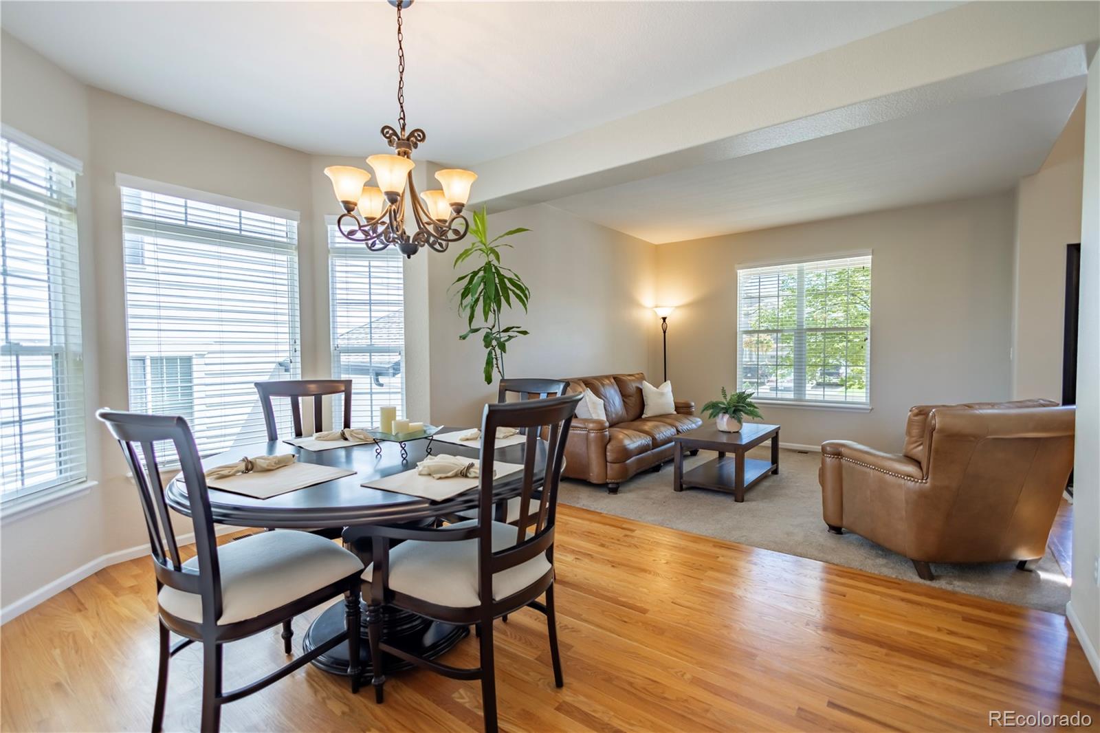 MLS Image #8 for 11861 s breeze grass way,parker, Colorado