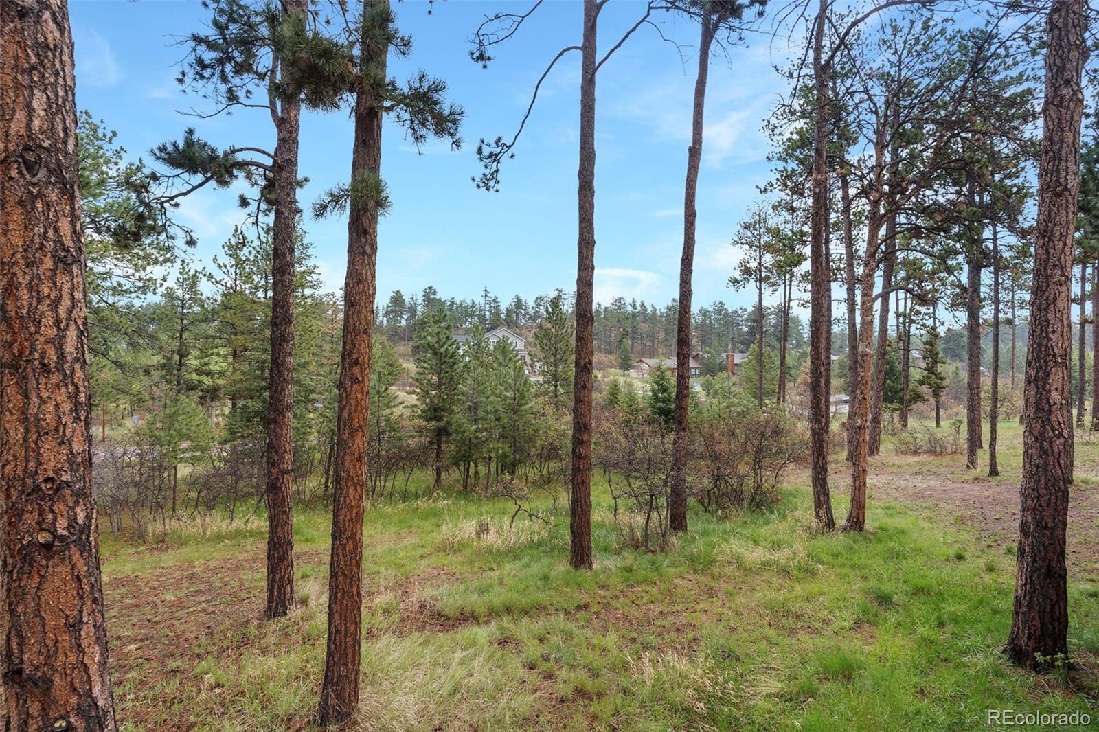MLS Image #28 for 8170  red rock court,larkspur, Colorado