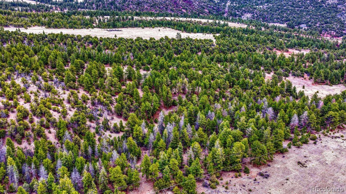 MLS Image #39 for 10475  county road 12 ,cotopaxi, Colorado