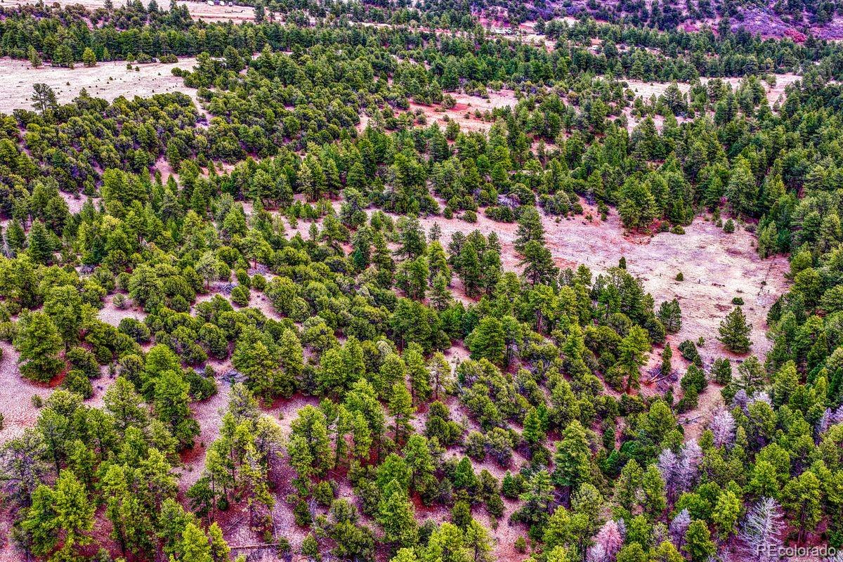 MLS Image #40 for 10475  county road 12 ,cotopaxi, Colorado