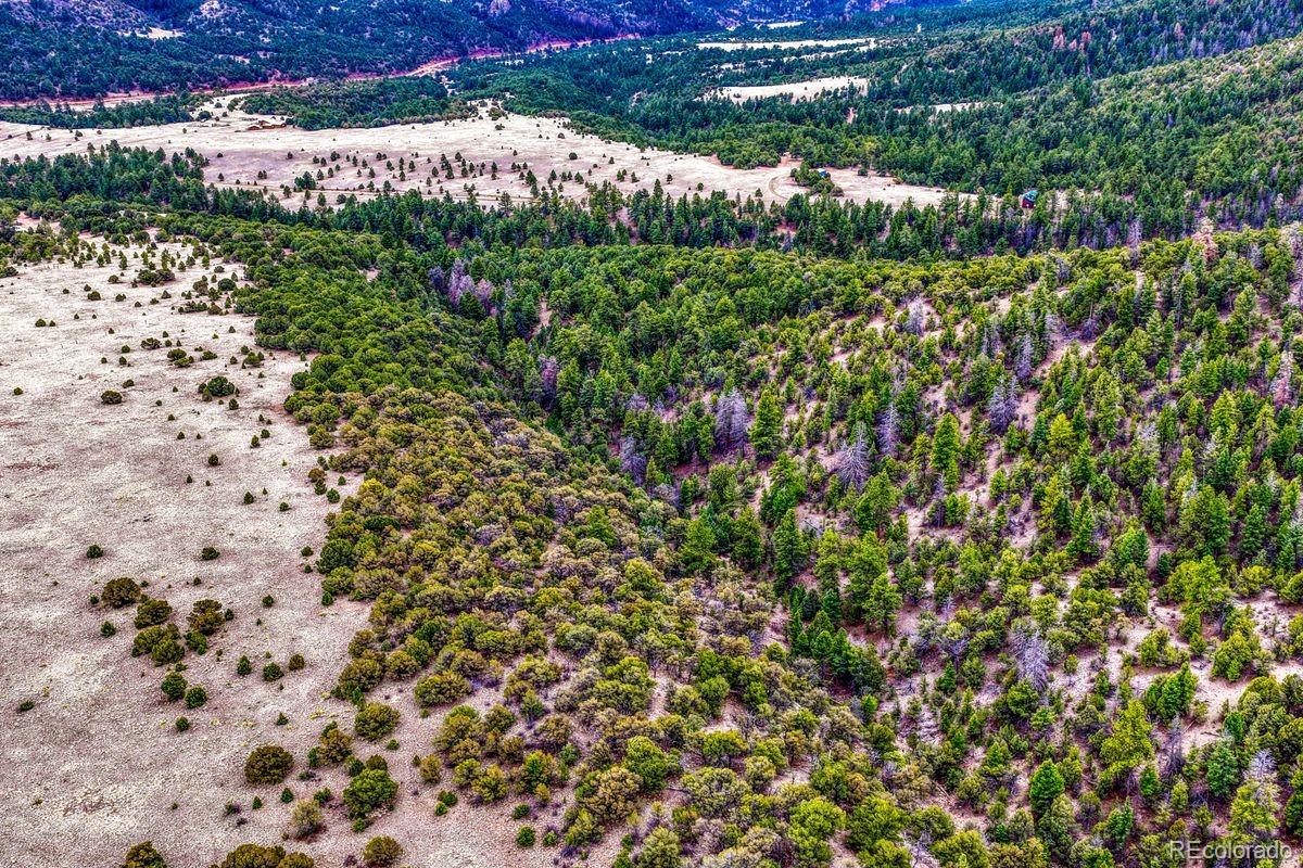 MLS Image #42 for 10475  county road 12 ,cotopaxi, Colorado