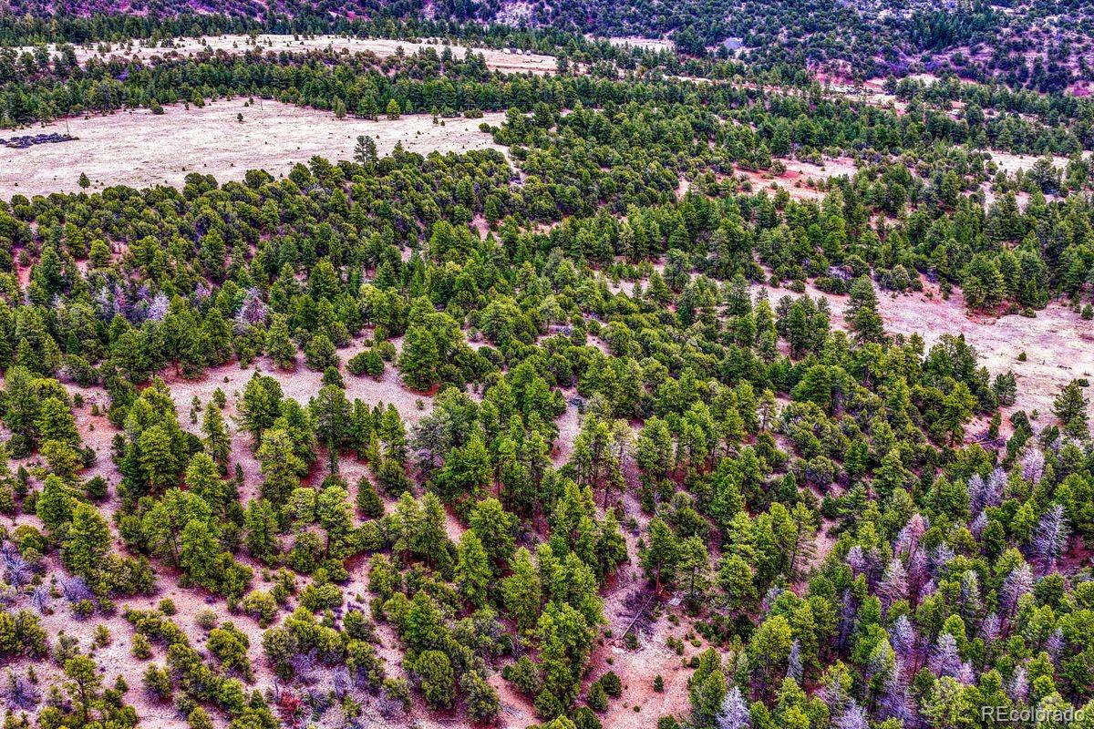 MLS Image #43 for 10475  county road 12 ,cotopaxi, Colorado