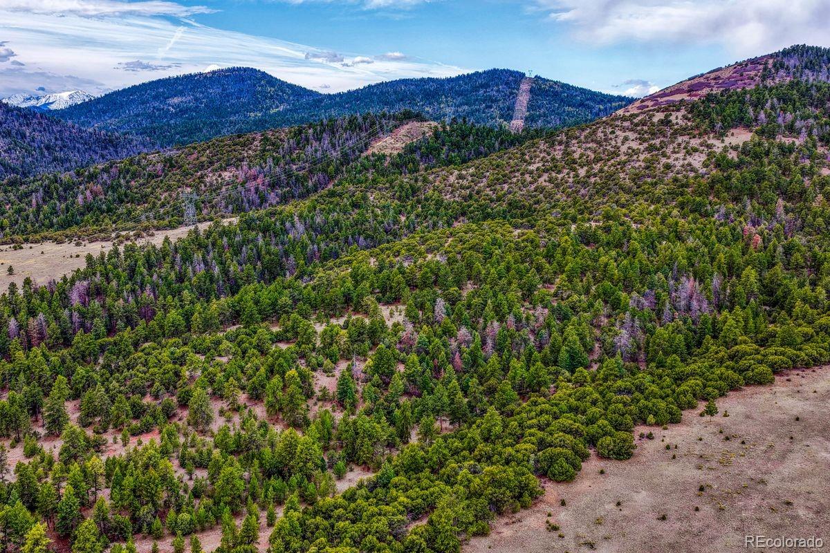 MLS Image #44 for 10475  county road 12 ,cotopaxi, Colorado