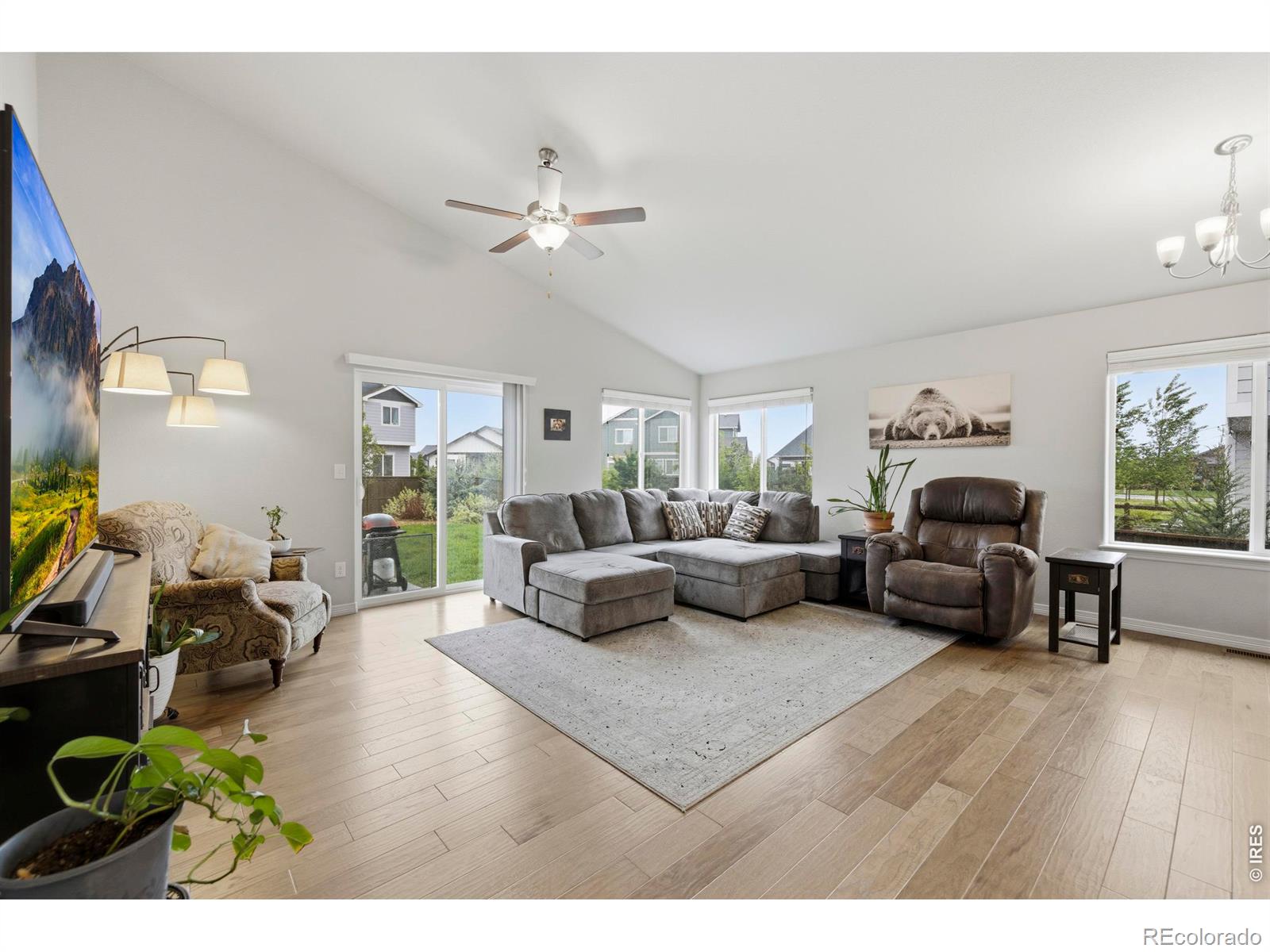 MLS Image #3 for 1869  egnar street,loveland, Colorado