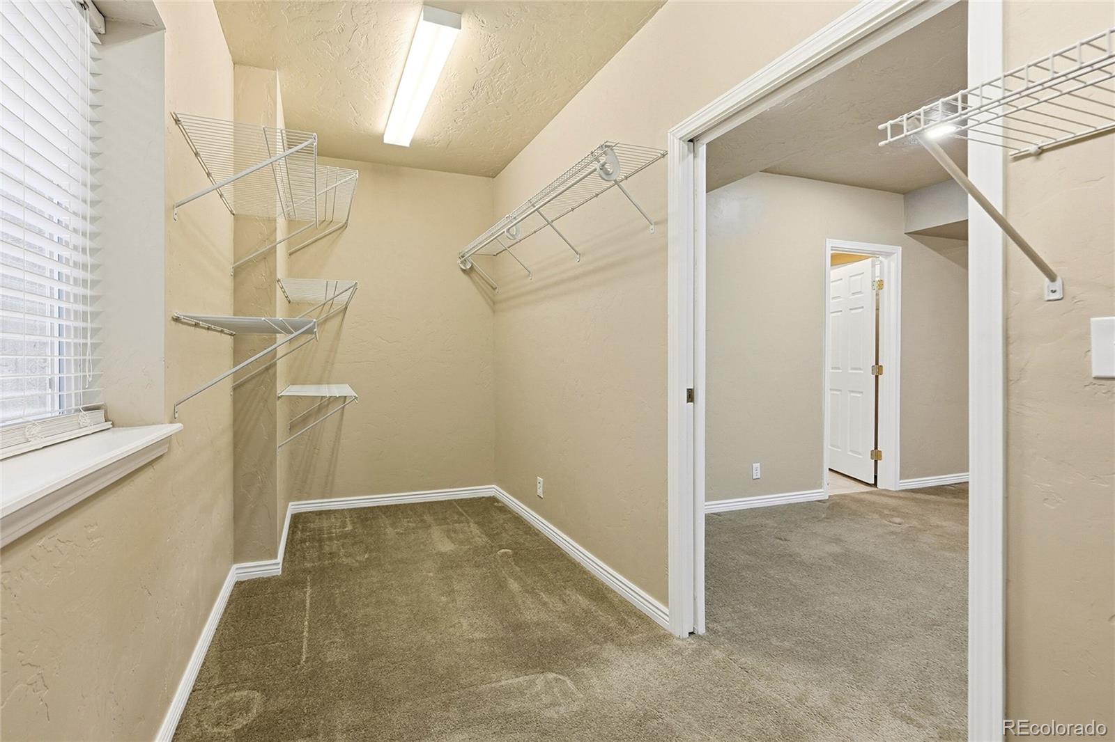 MLS Image #11 for 22303 e idyllwilde drive,parker, Colorado
