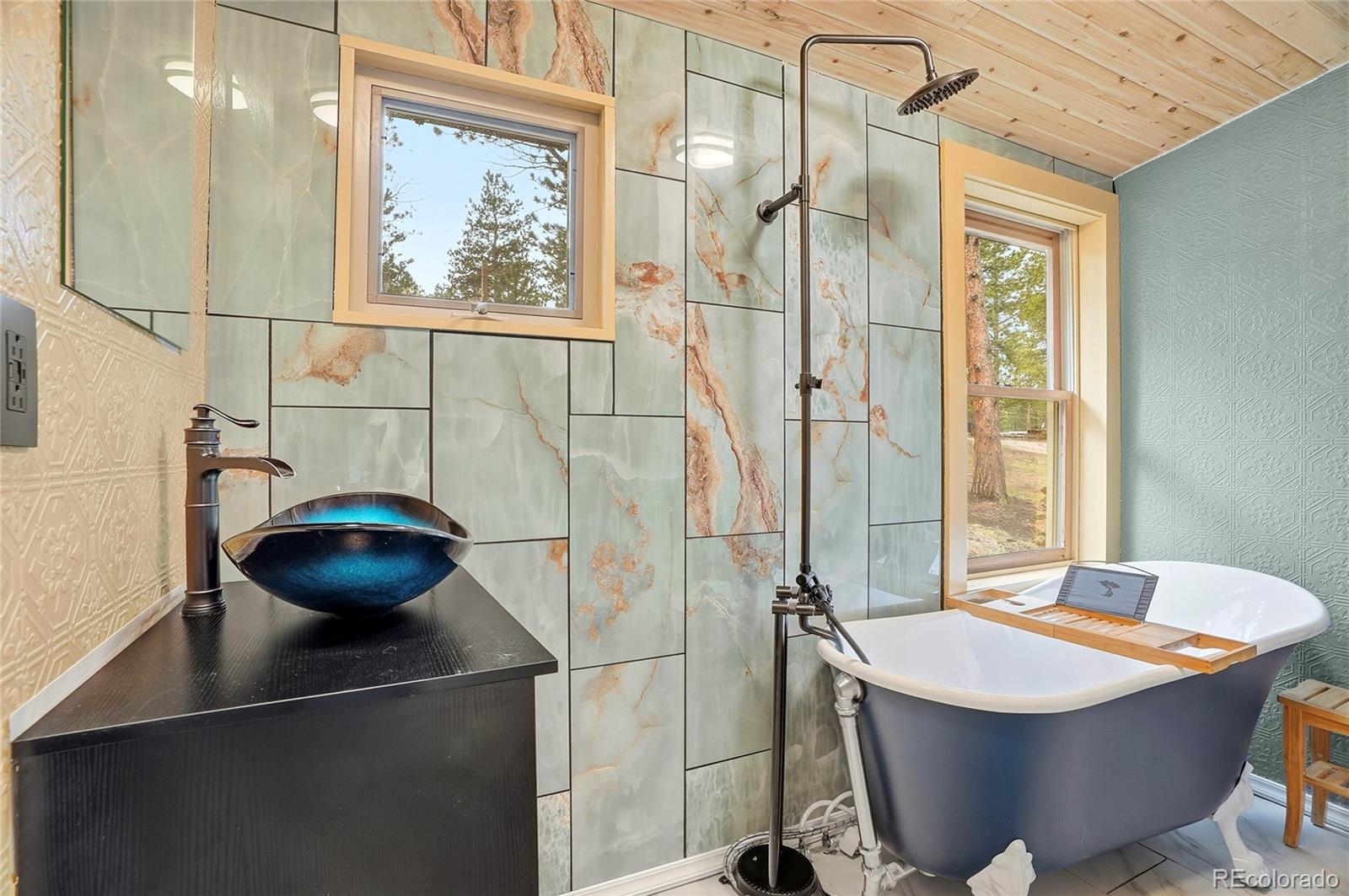 MLS Image #10 for 14032 s olive avenue,pine, Colorado