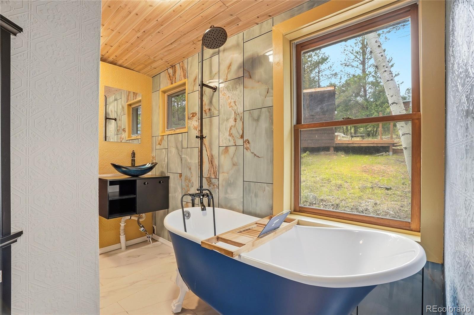 MLS Image #12 for 14032 s olive avenue,pine, Colorado
