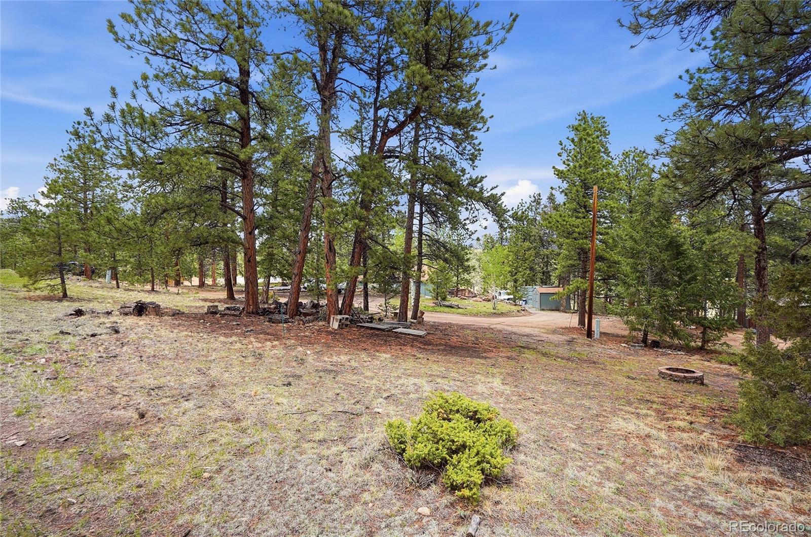 MLS Image #31 for 14032 s olive avenue,pine, Colorado