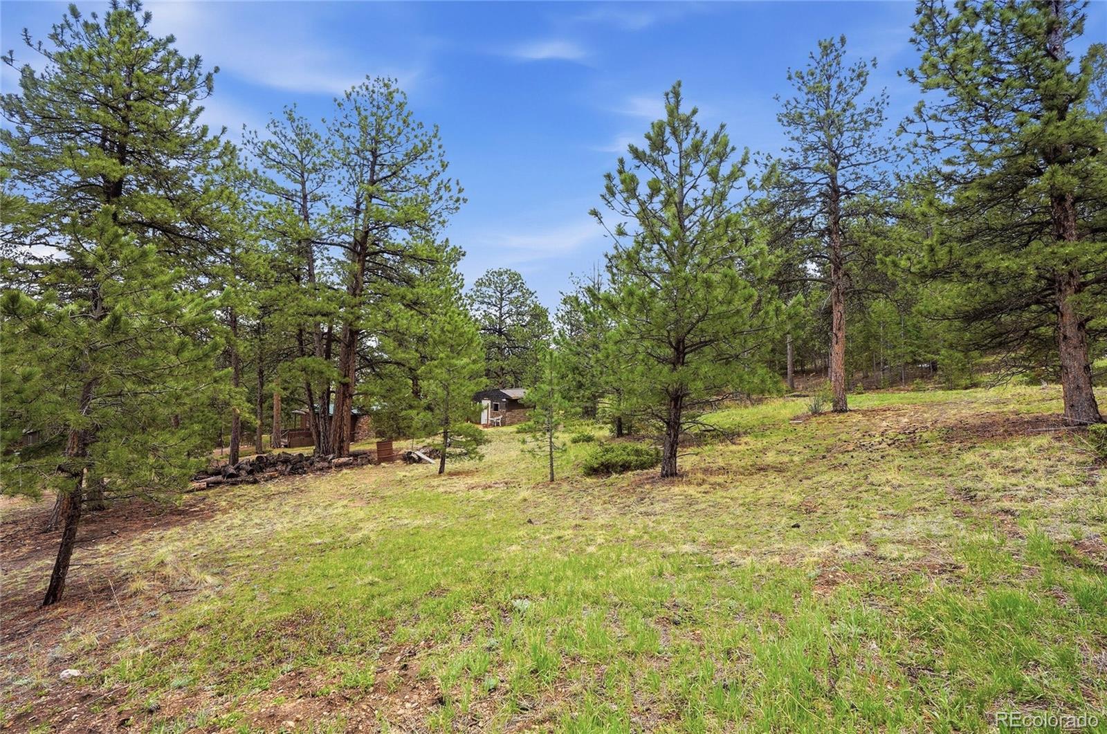MLS Image #33 for 14032 s olive avenue,pine, Colorado