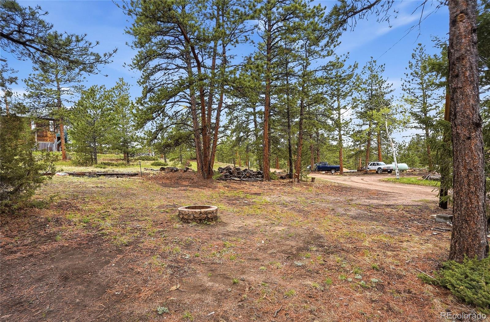 MLS Image #34 for 14032 s olive avenue,pine, Colorado