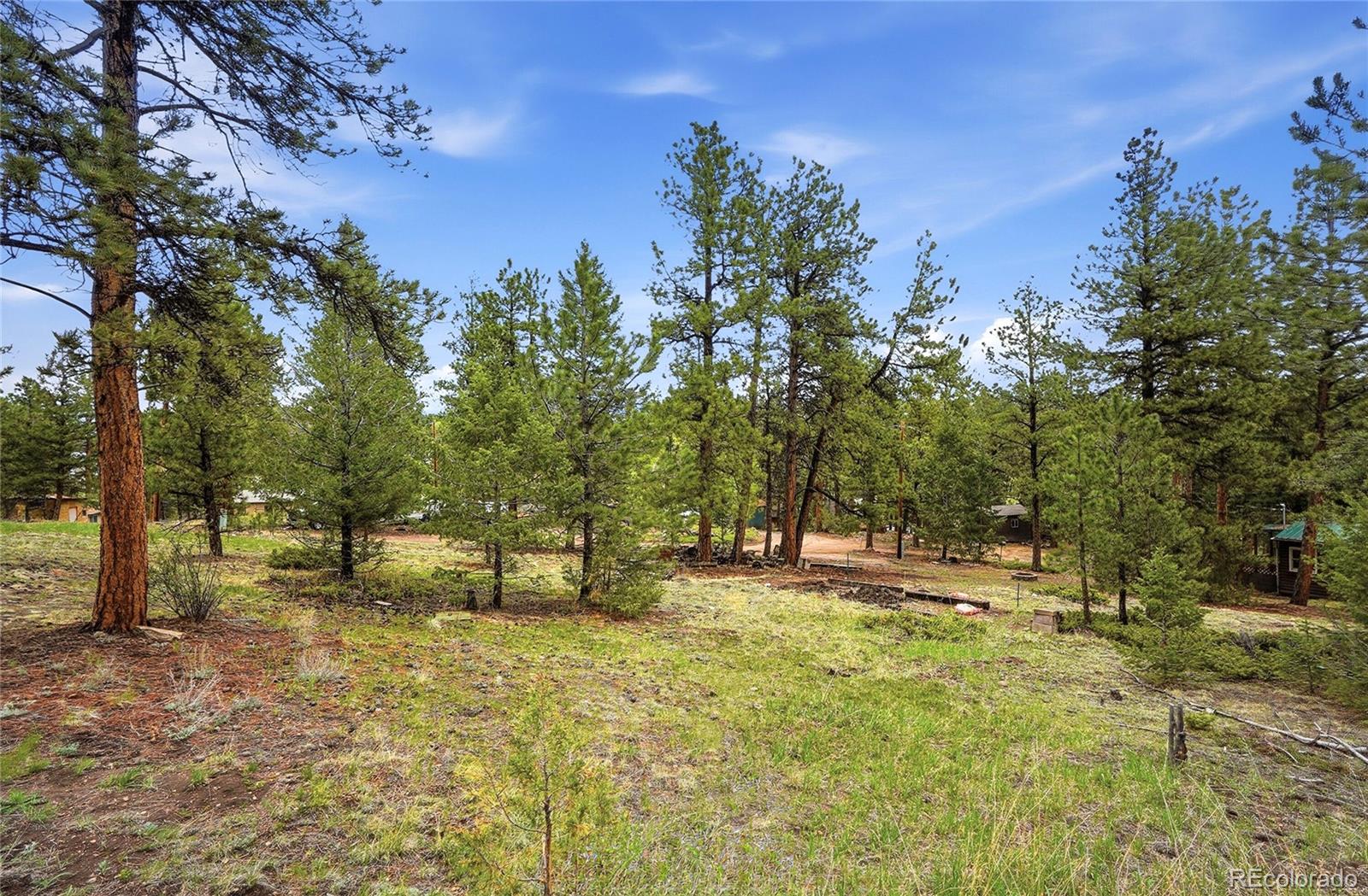 MLS Image #35 for 14032 s olive avenue,pine, Colorado