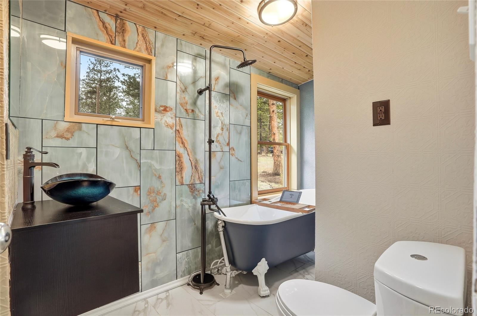 MLS Image #9 for 14032 s olive avenue,pine, Colorado