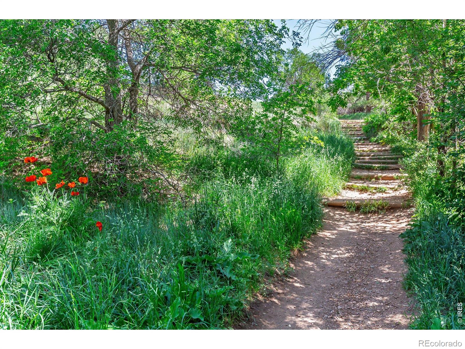 MLS Image #43 for 810  alpine avenue,boulder, Colorado