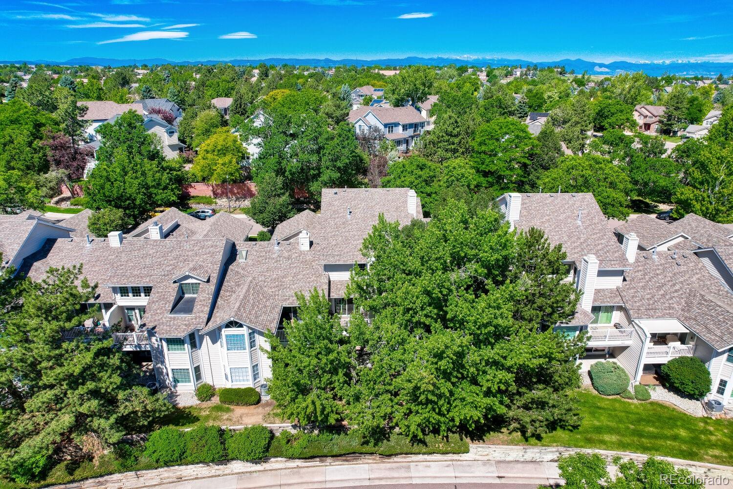 MLS Image #22 for 9304  miles drive,lone tree, Colorado