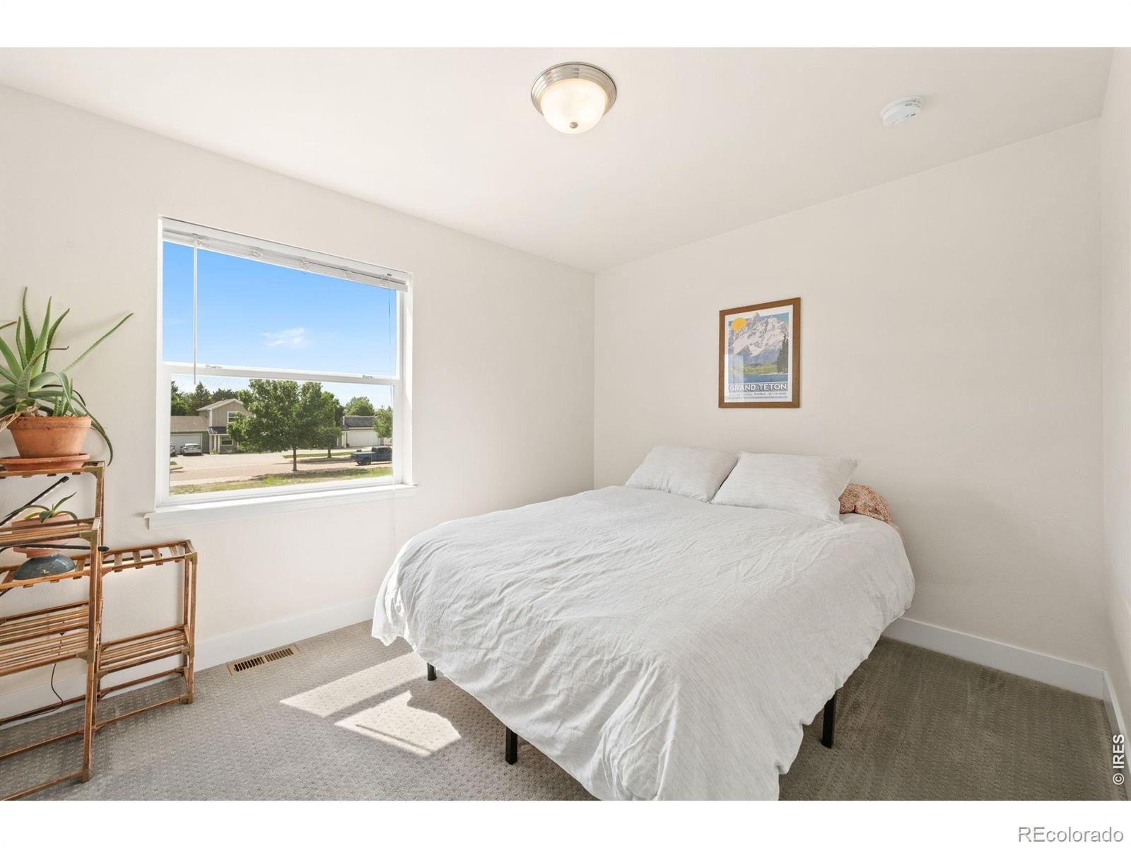 MLS Image #18 for 4050  sveta lane,wellington, Colorado