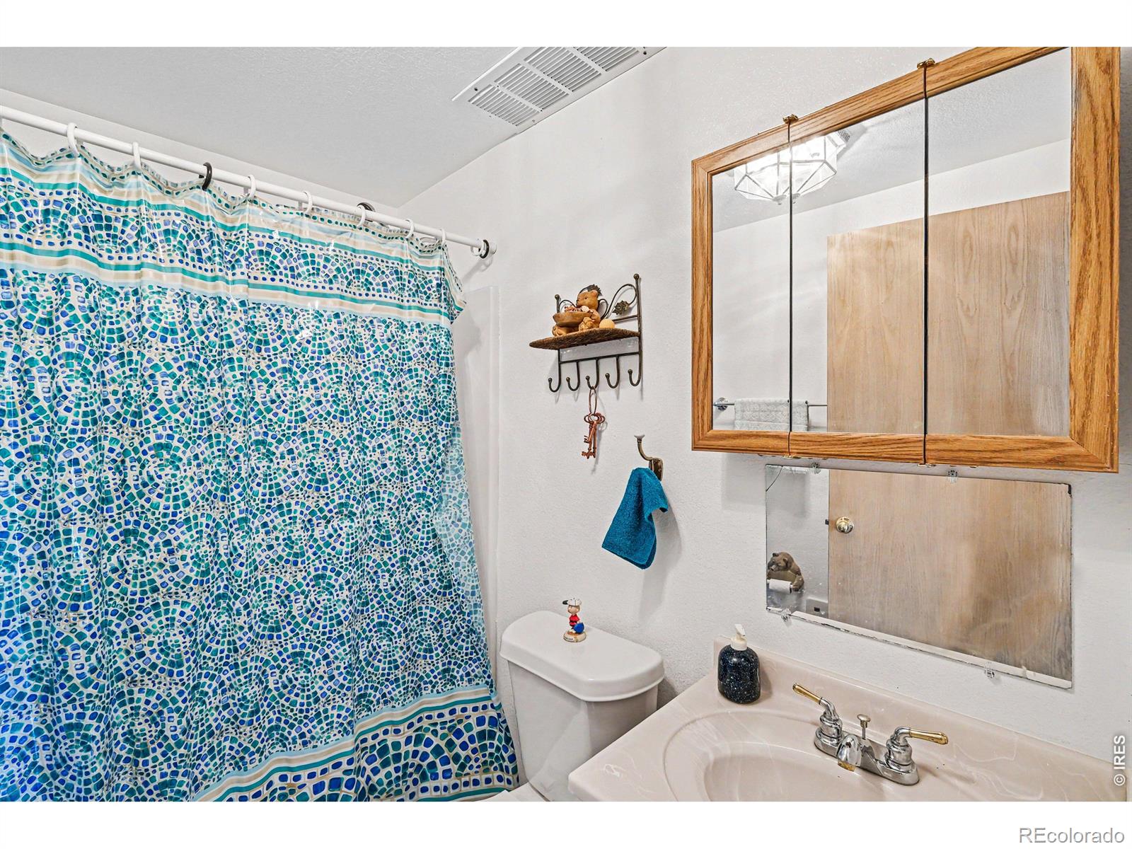 MLS Image #19 for 321  shasta way,red feather lakes, Colorado