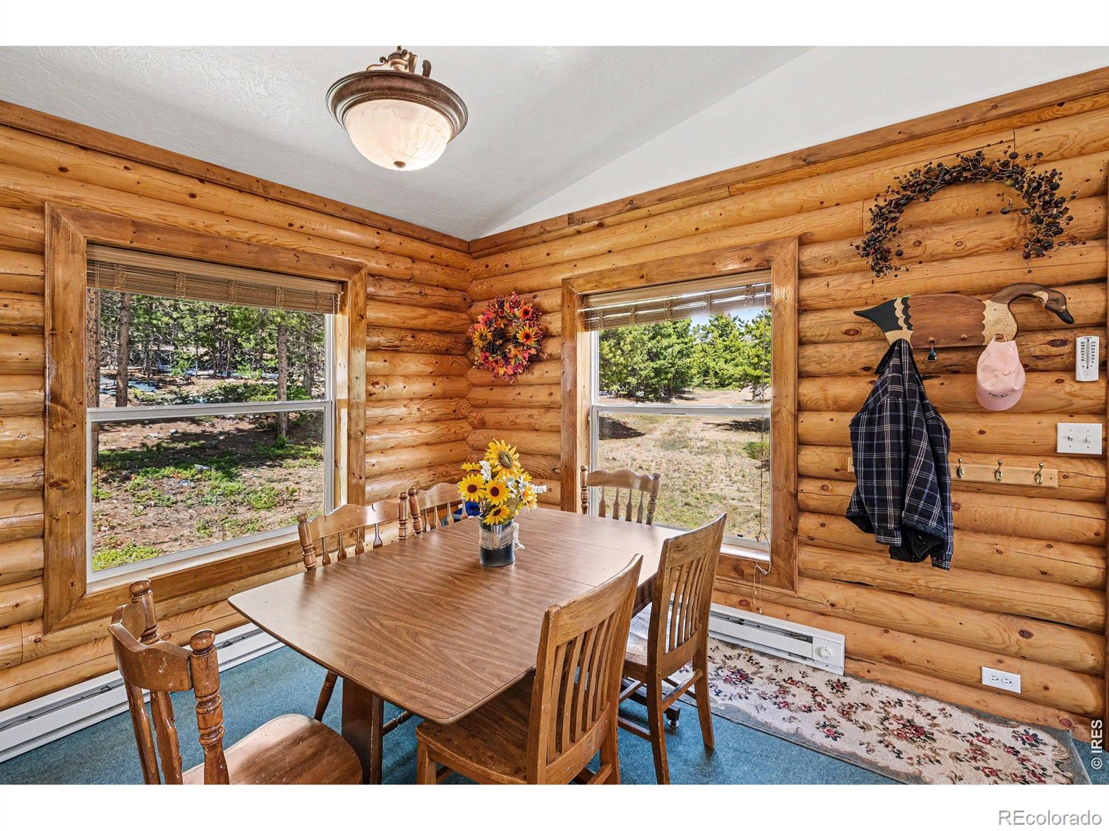 MLS Image #21 for 321  shasta way,red feather lakes, Colorado