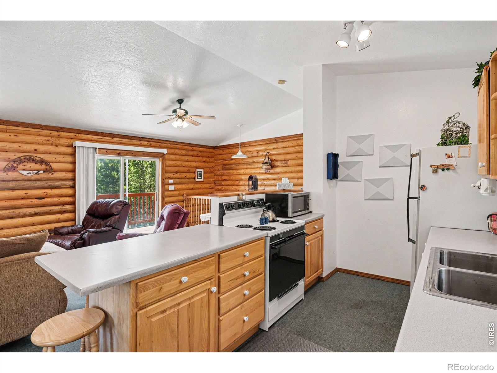 MLS Image #6 for 321  shasta way,red feather lakes, Colorado