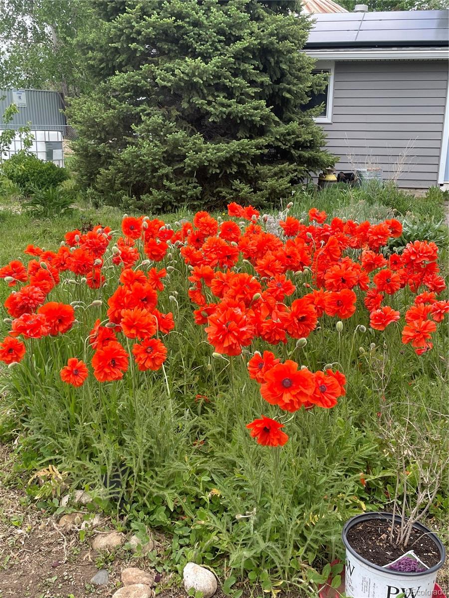 MLS Image #35 for 5215  eldridge street,arvada, Colorado