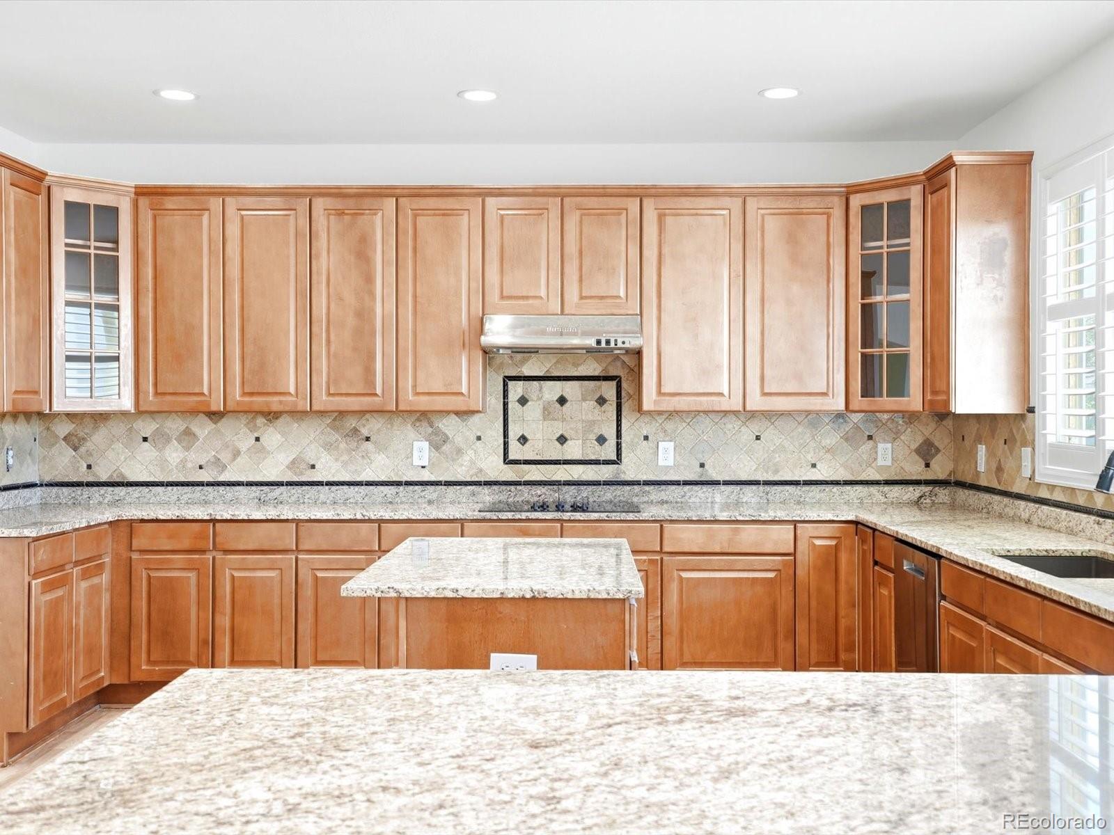 MLS Image #21 for 12560  bradford drive,parker, Colorado