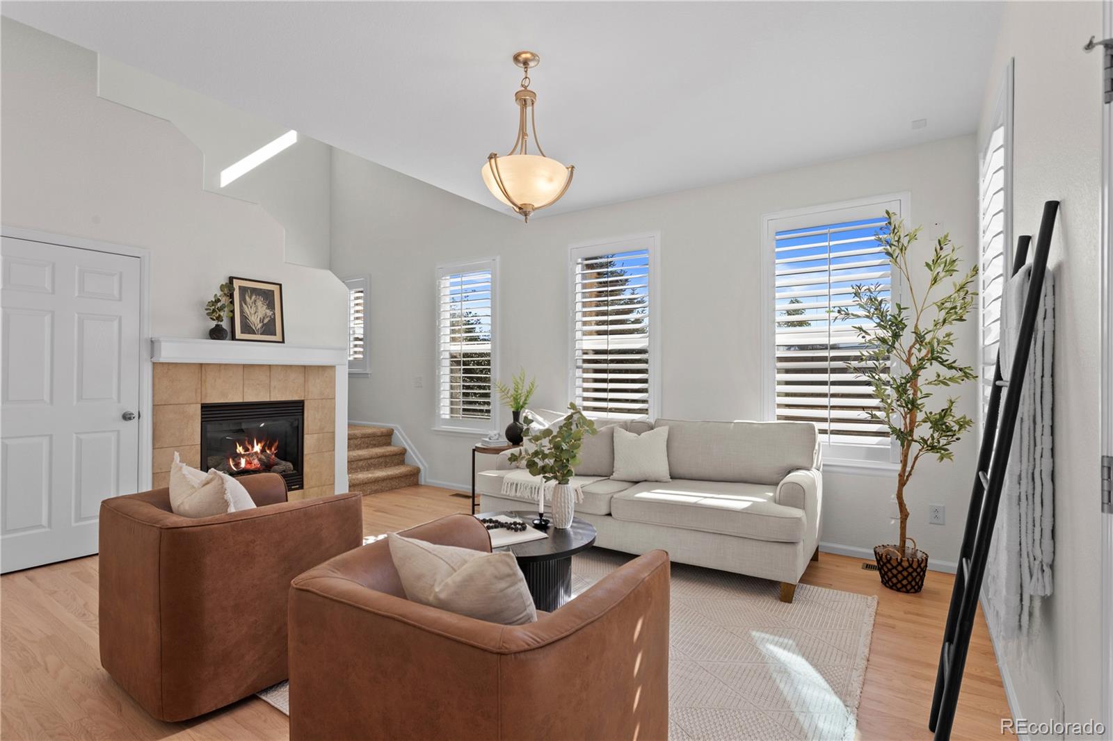 MLS Image #8 for 5424  fullerton circle,highlands ranch, Colorado