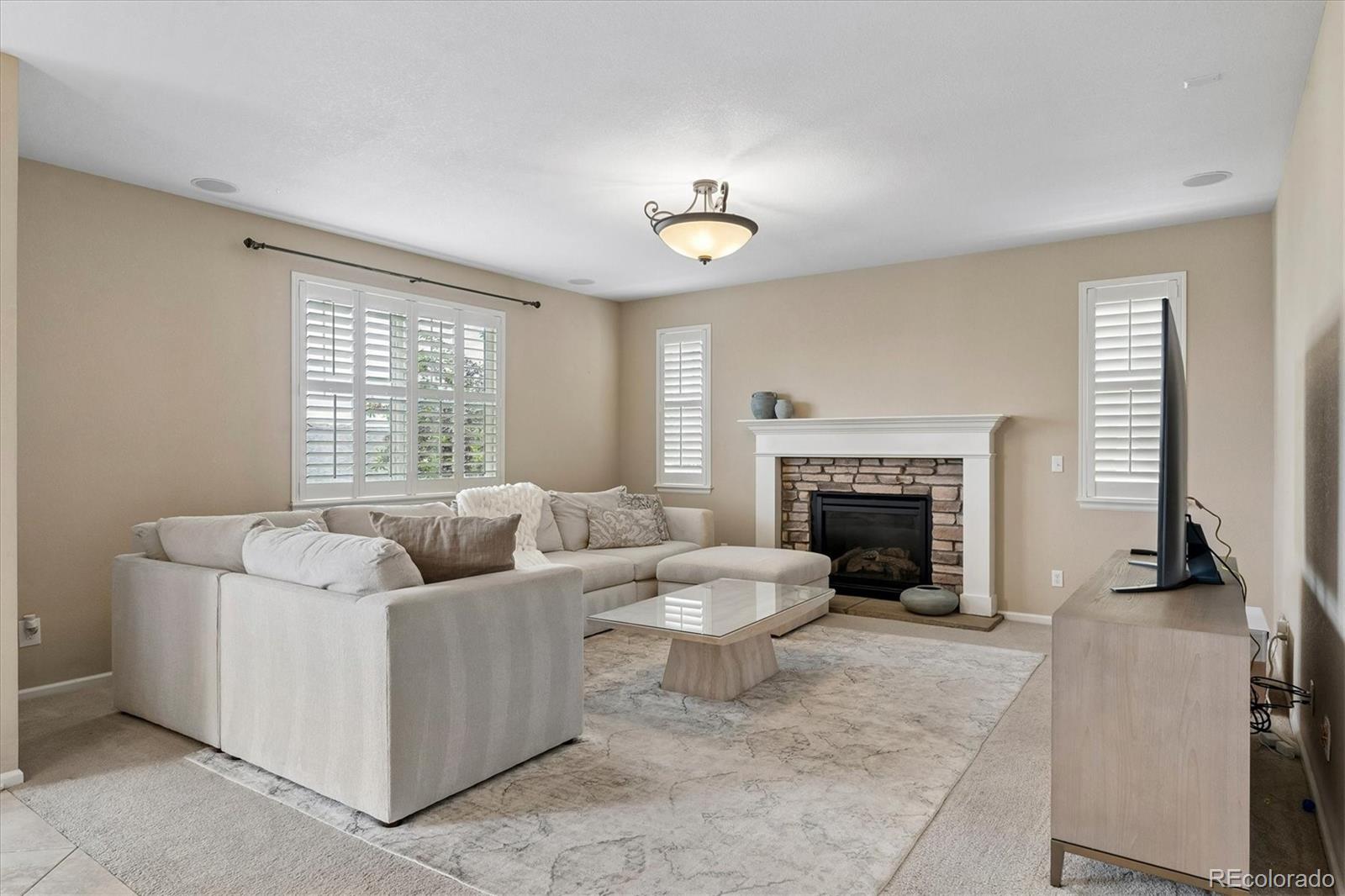 MLS Image #10 for 10242  greenfield circle,parker, Colorado