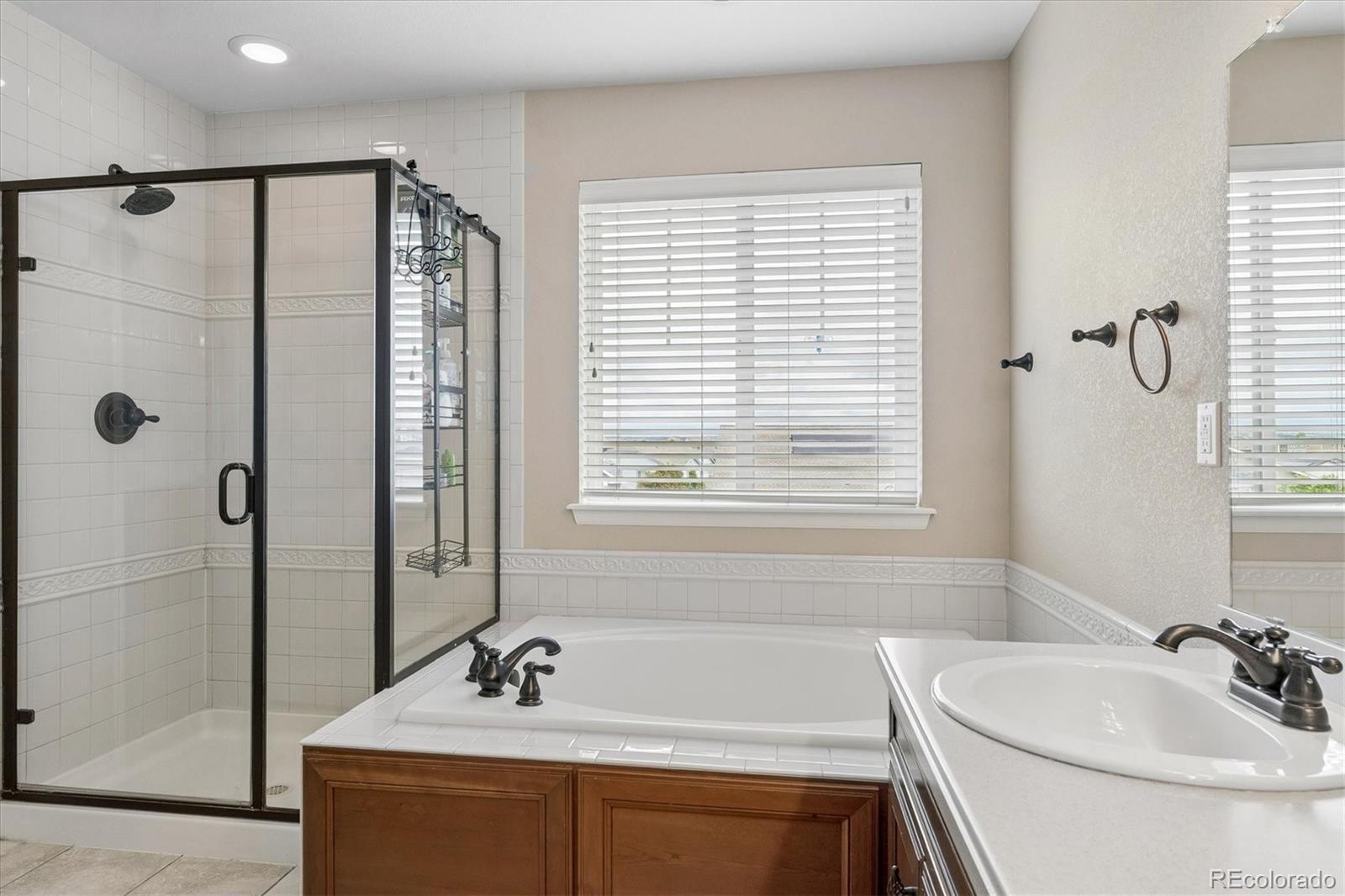 MLS Image #19 for 10242  greenfield circle,parker, Colorado