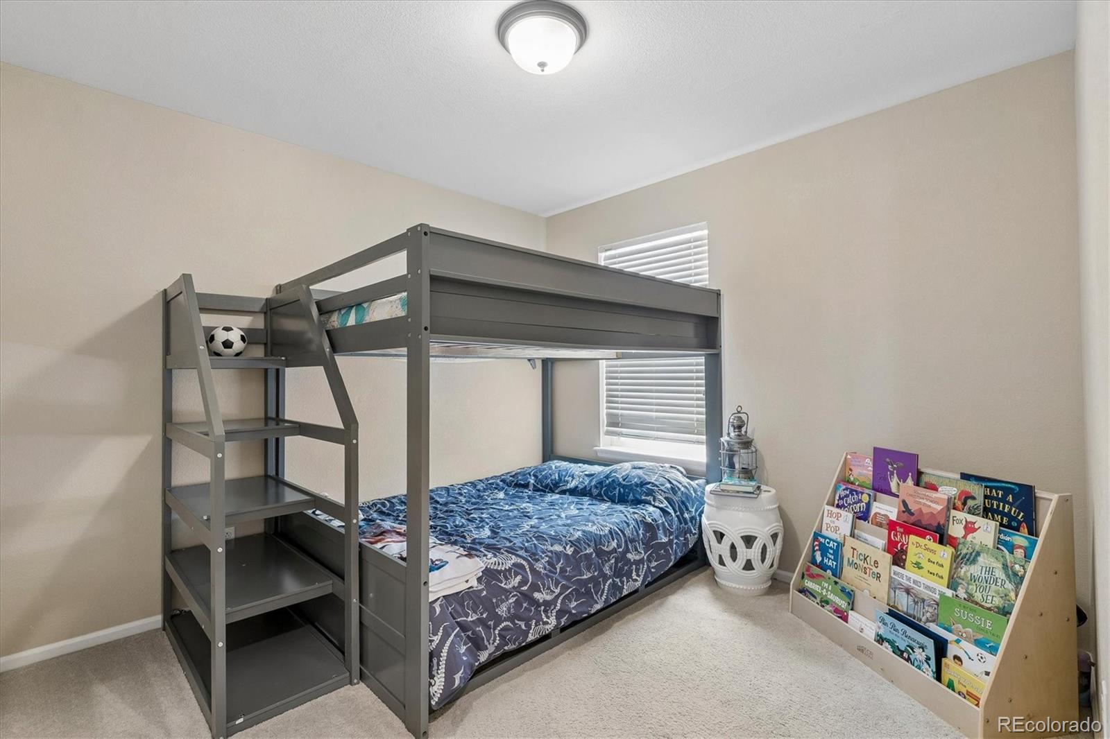 MLS Image #20 for 10242  greenfield circle,parker, Colorado