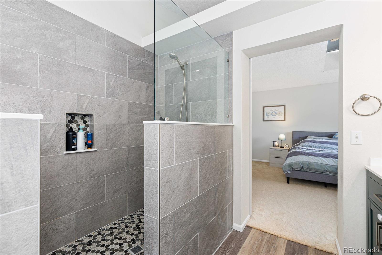 MLS Image #16 for 11222  gilcrest street,parker, Colorado