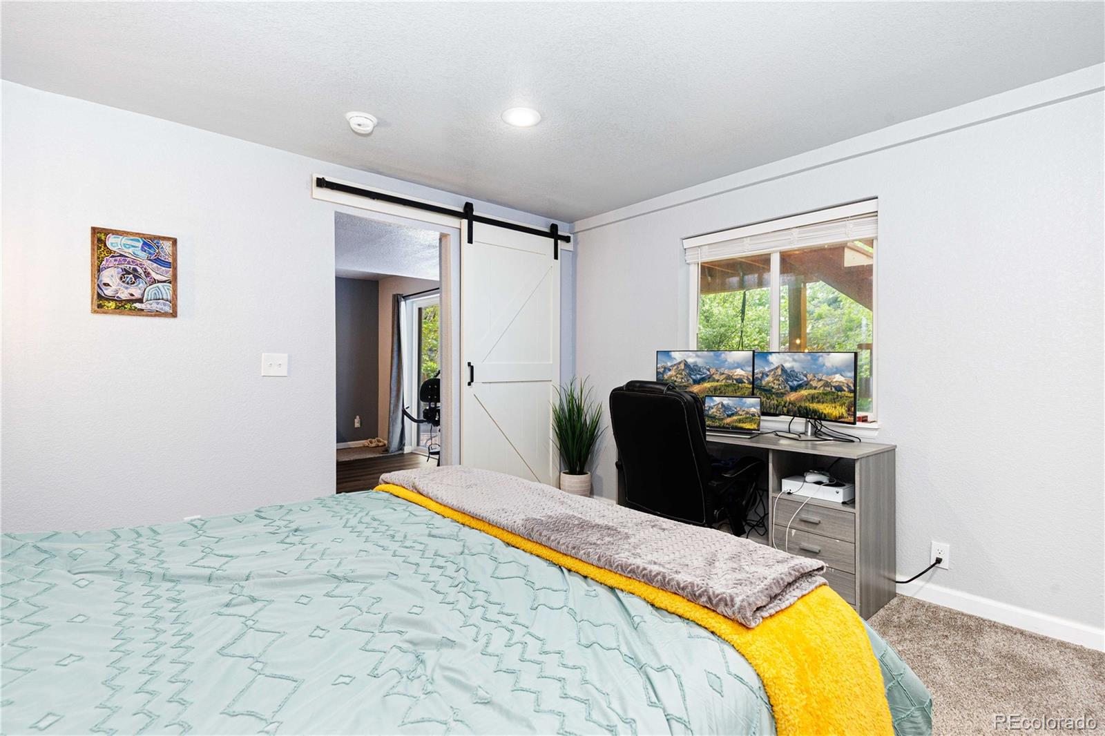 MLS Image #27 for 11222  gilcrest street,parker, Colorado