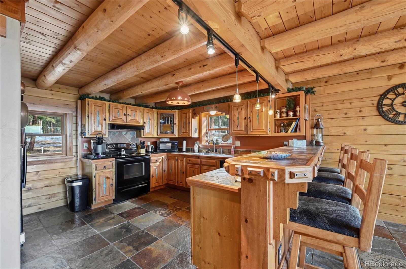 MLS Image #13 for 3613  trail creek road,florissant, Colorado
