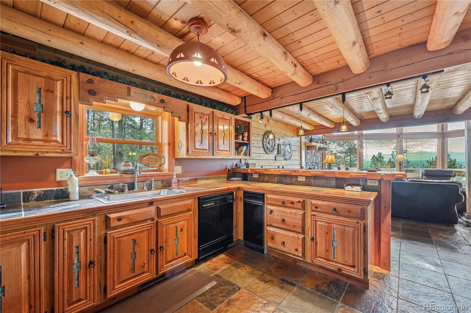 MLS Image #14 for 3613  trail creek road,florissant, Colorado