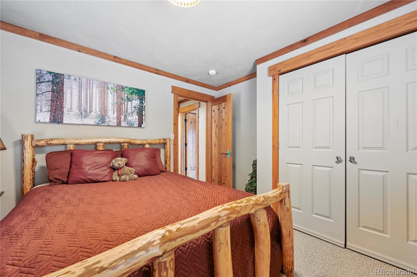 MLS Image #18 for 3613  trail creek road,florissant, Colorado