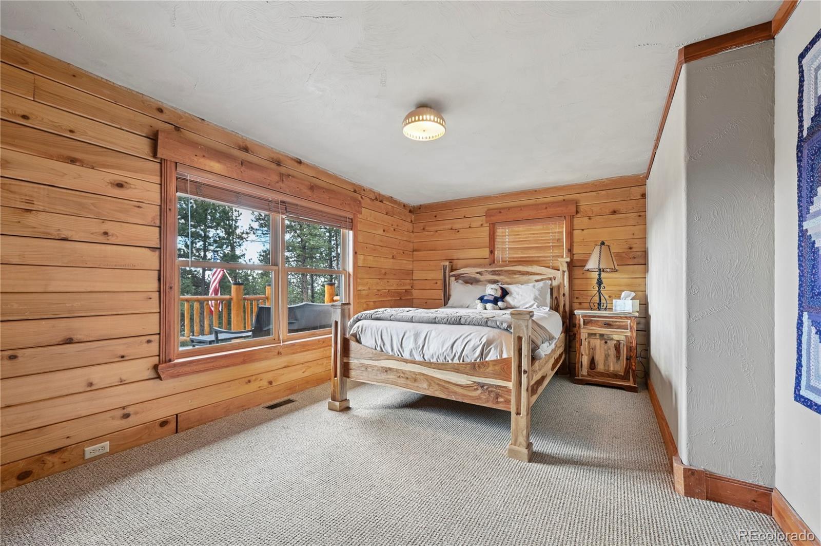 MLS Image #19 for 3613  trail creek road,florissant, Colorado