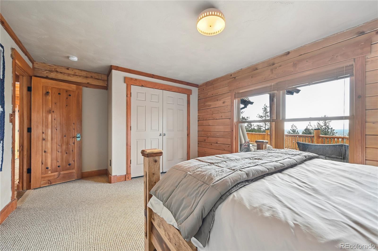 MLS Image #20 for 3613  trail creek road,florissant, Colorado