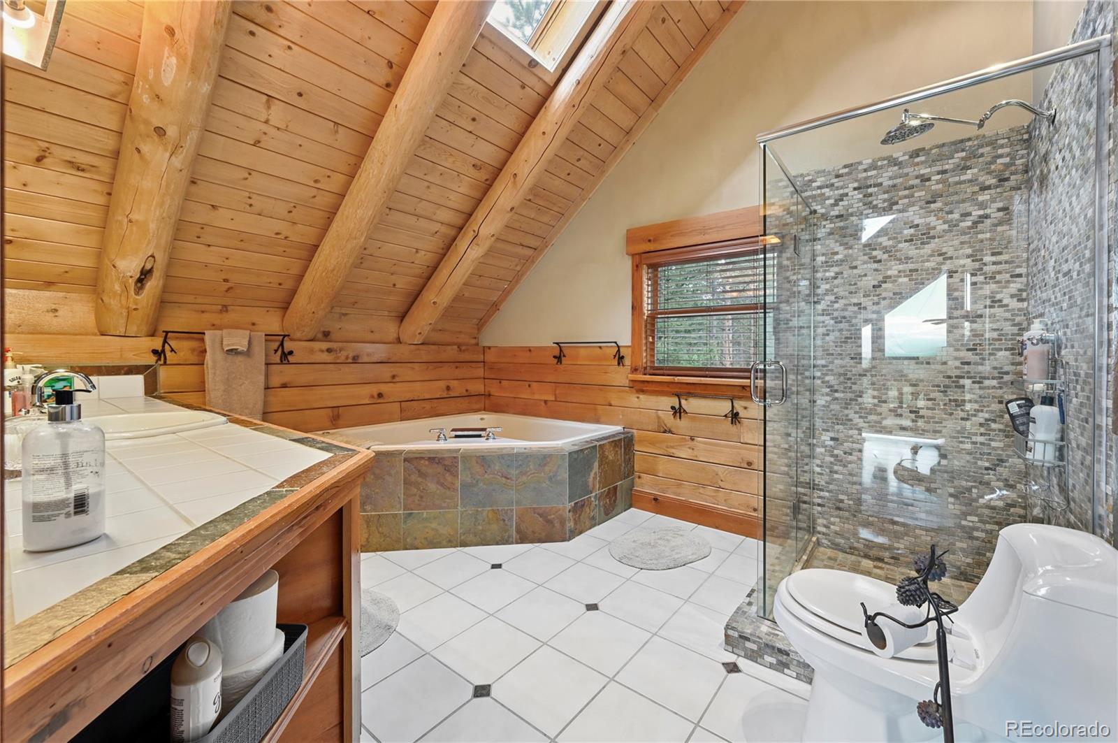 MLS Image #24 for 3613  trail creek road,florissant, Colorado