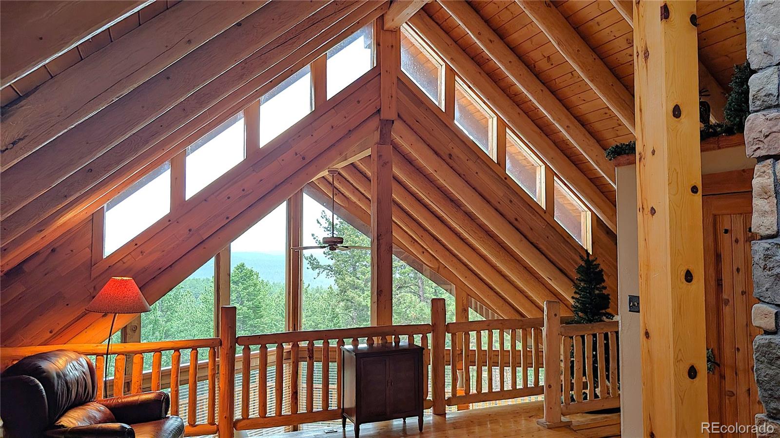 MLS Image #27 for 3613  trail creek road,florissant, Colorado