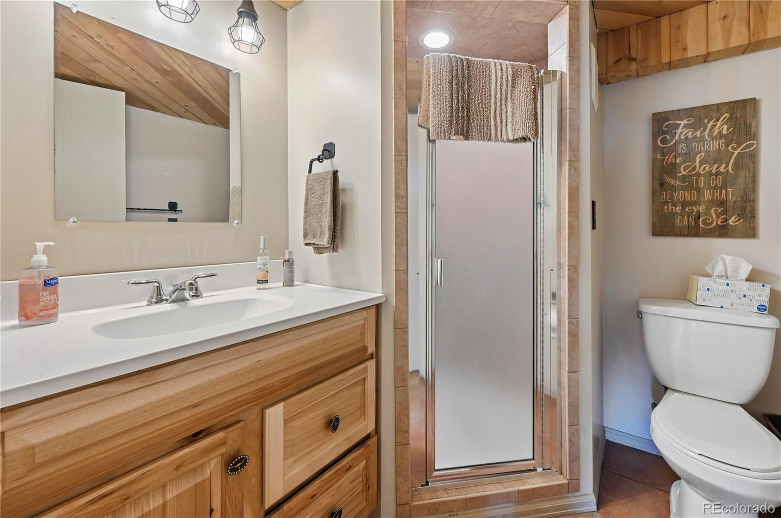 MLS Image #35 for 3613  trail creek road,florissant, Colorado